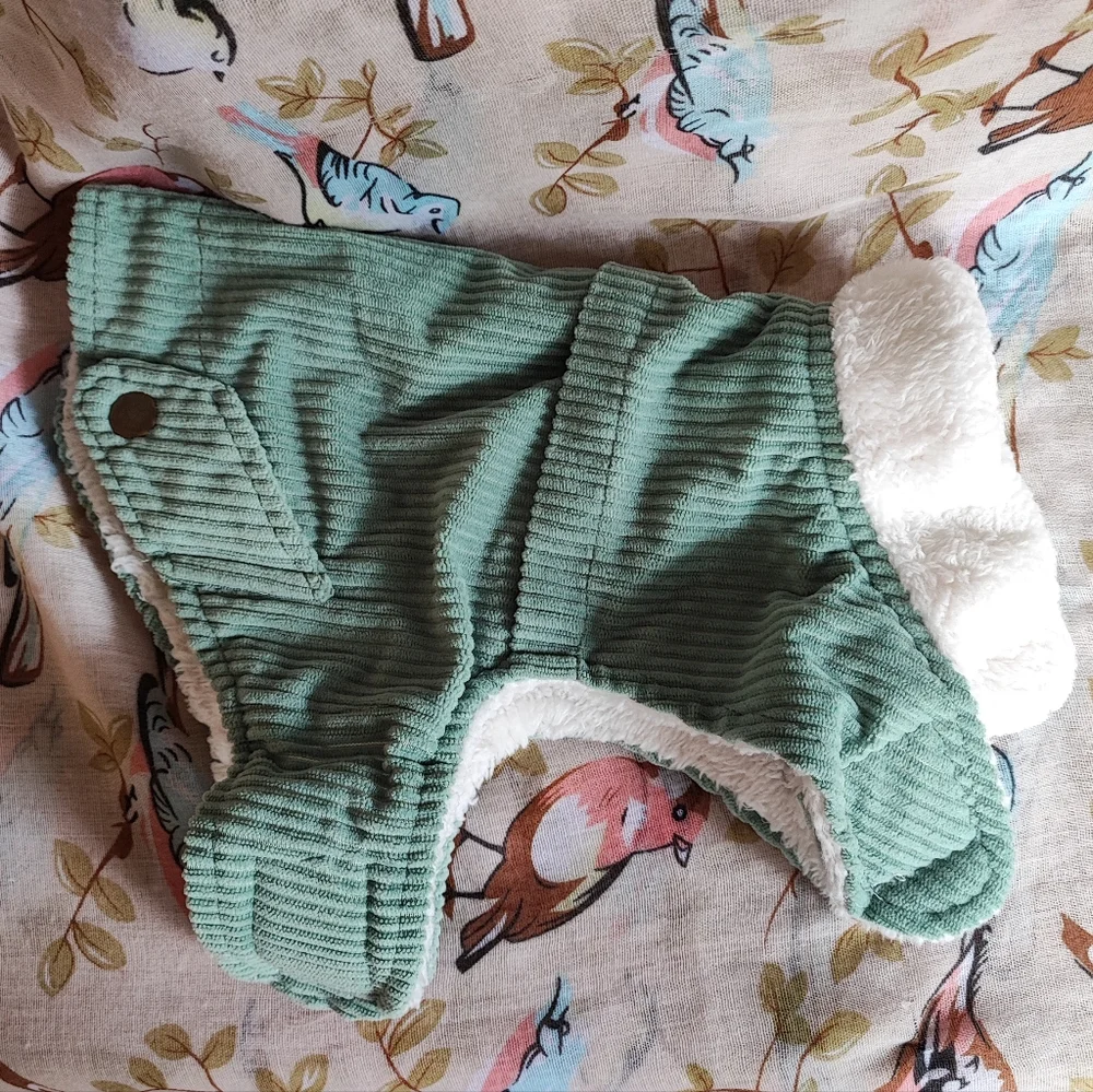 Celery Sage Green Corduroy Dog Cream Teddy Lining Warm Winter Jacket Vest Small